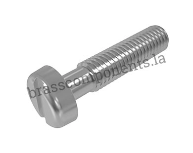 ISO 1207 Slotted Screws